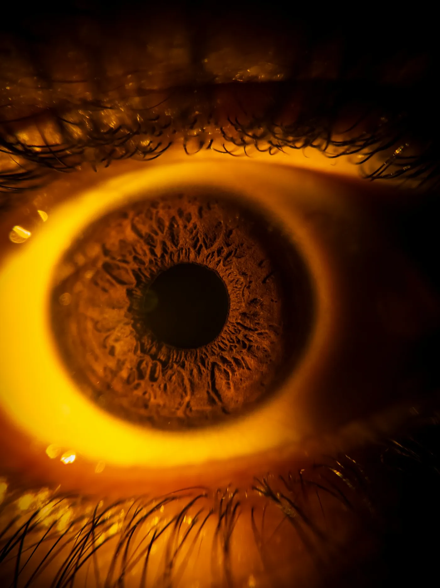 Close-up of an eye