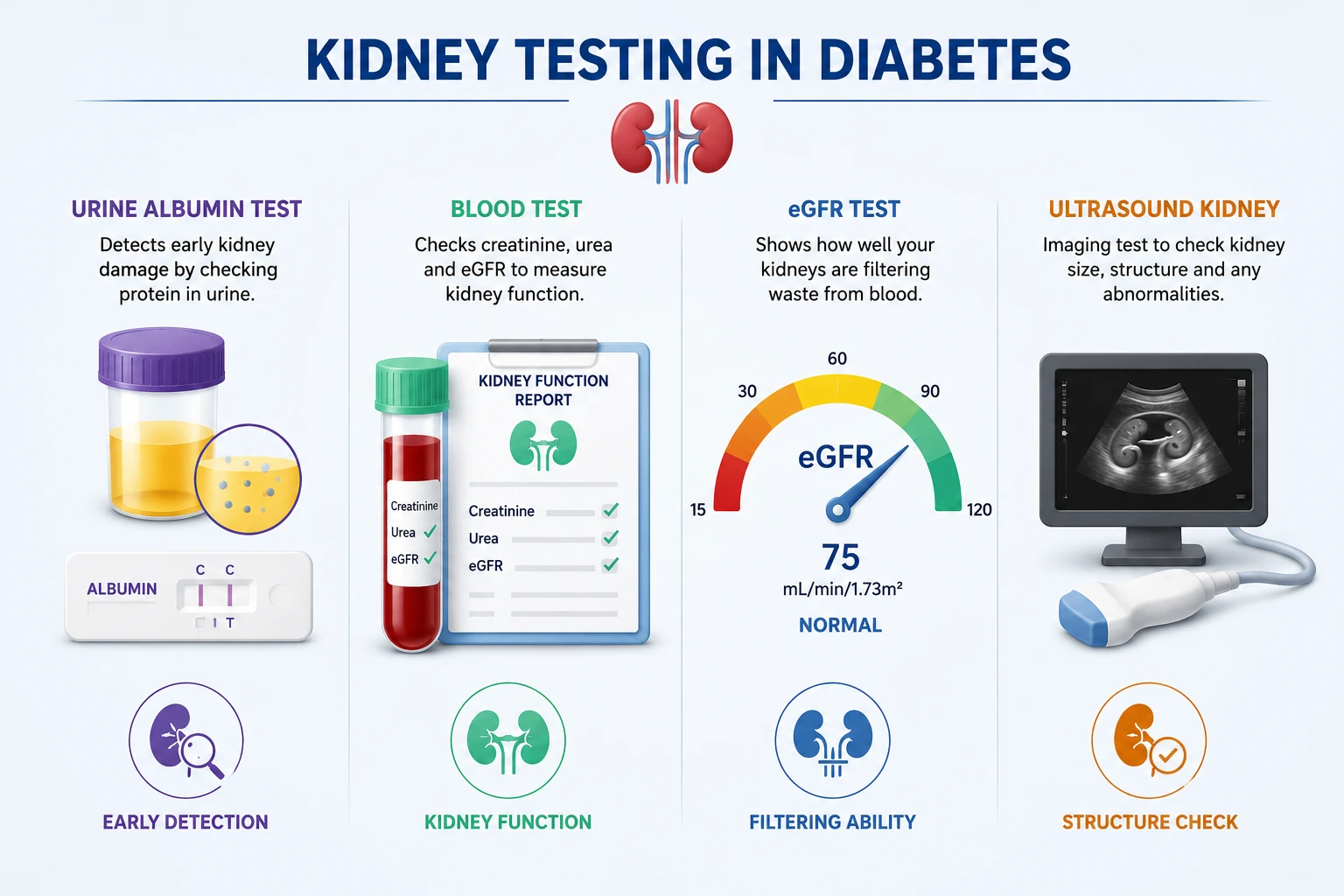 Kidney testing in diabetes - urine albumin, blood test, eGFR and ultrasound, in DHA Lahore